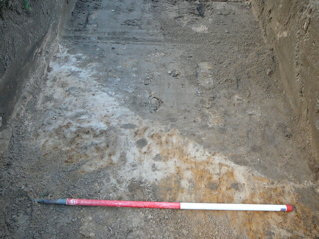 SHG24054_21.JPG