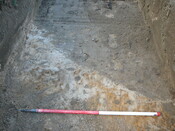 SHG24054_21.JPG