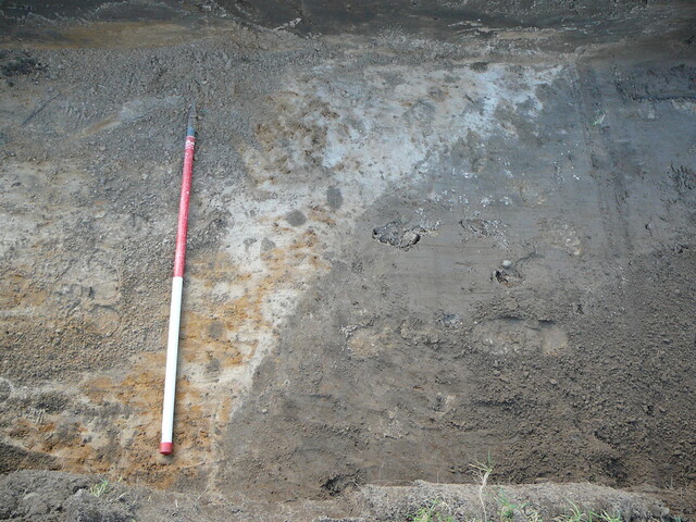 SHG24054_22.JPG