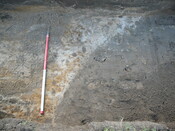 SHG24054_22.JPG