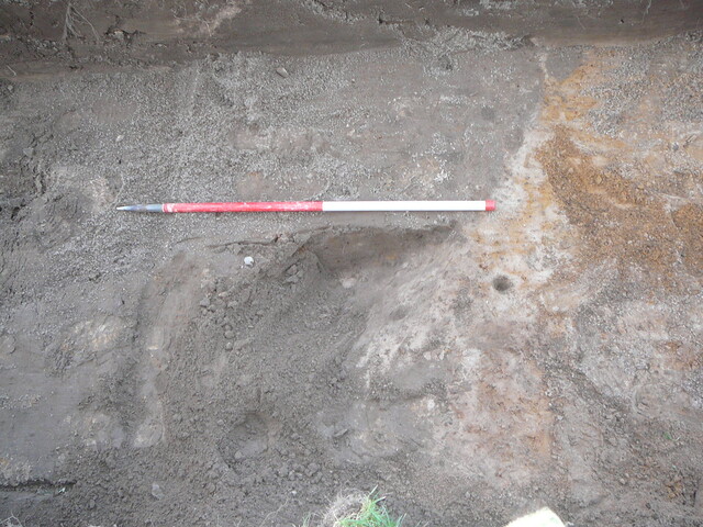 SHG24054_25.JPG