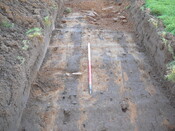 SHG24054_26.JPG
