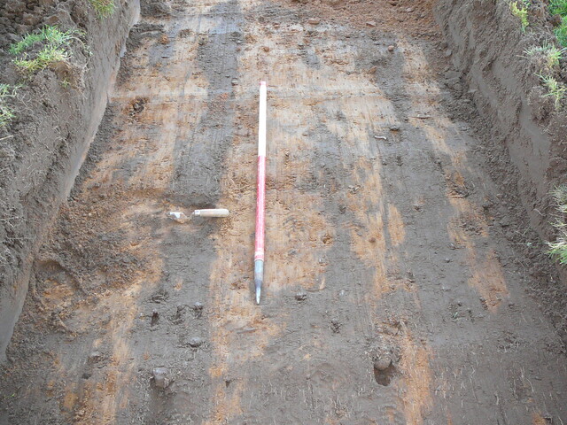 SHG24054_27.JPG