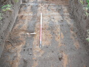 SHG24054_27.JPG