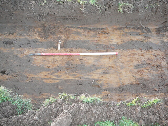 SHG24054_28.JPG