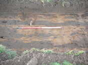 SHG24054_28.JPG