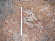 SHG24054_29.JPG