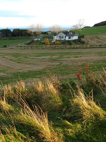 SHG24054_3.JPG