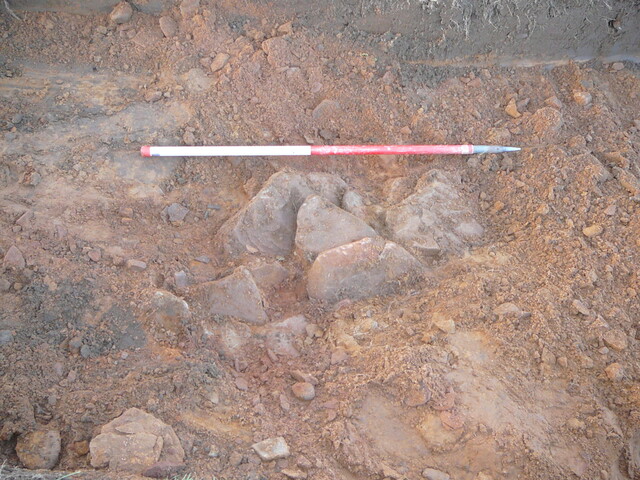 SHG24054_30.JPG