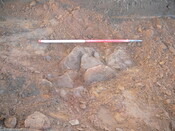 SHG24054_30.JPG