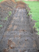 SHG24054_31.JPG