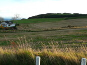SHG24054_4.JPG