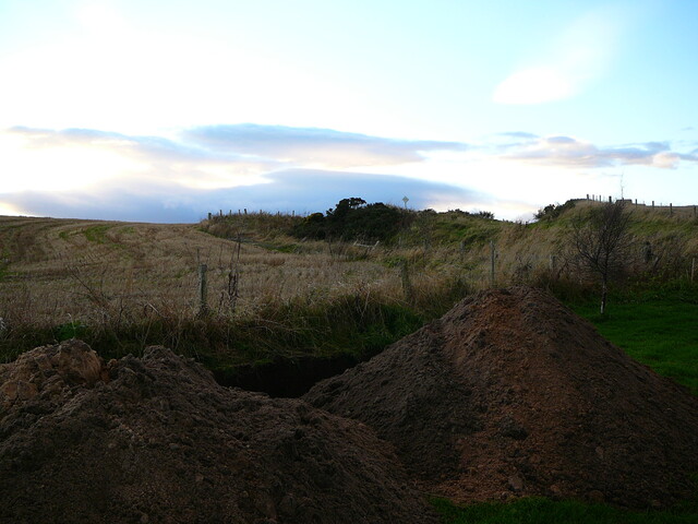 SHG24054_5.JPG