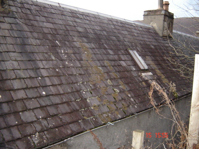 16 Back Roof.JPG