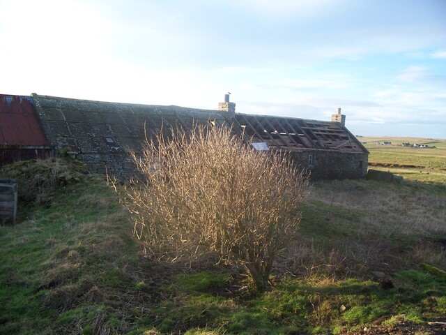 100_0447.JPG