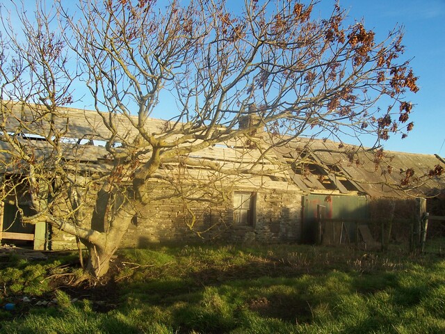 100_0462.JPG