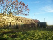 100_0463.JPG