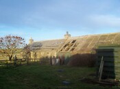 100_0481.JPG