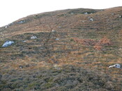 SHG24073_19.JPG