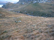 SHG24073_21.JPG