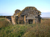SHG24074_14.jpg