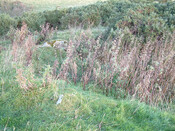 SHG24074_18.jpg