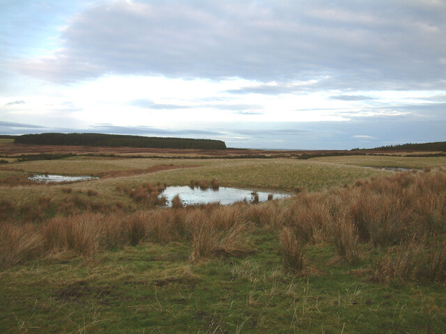 SHG24074_22.jpg