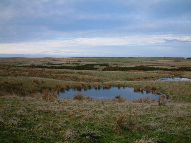 SHG24074_23.jpg