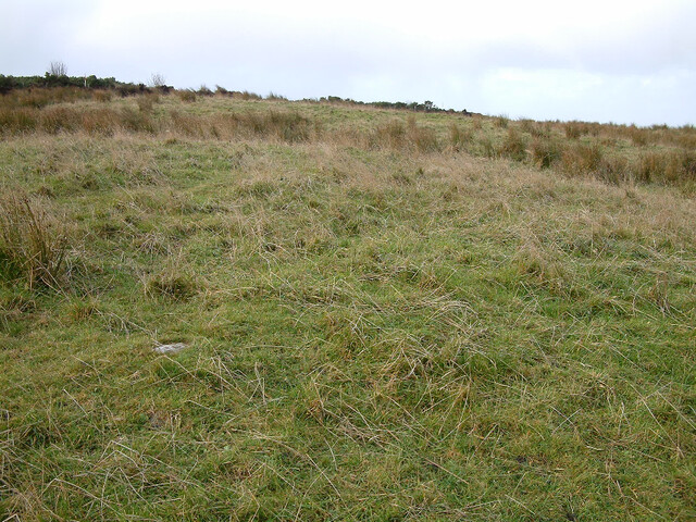 SHG24074_26.jpg