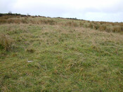 SHG24074_26.jpg