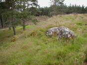Drumderfit Dun3.jpg