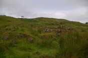 IMGP9579.JPG