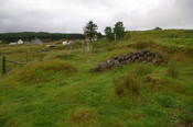 IMGP9583.JPG