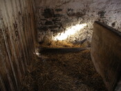 Tomnagaun Steading 22.JPG