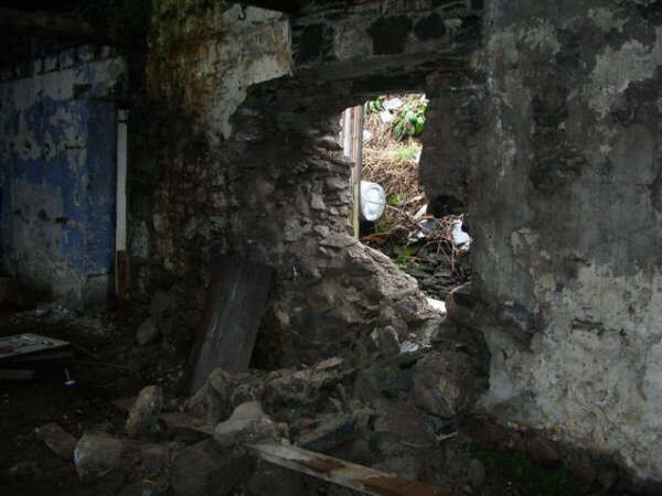 IMGP1737 (Small).JPG
