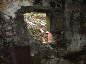 IMGP1738 (Small).JPG
