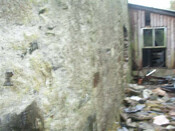 IMGP1750 (Small).JPG