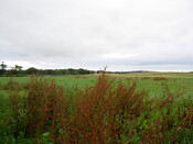 AA-001.JPG