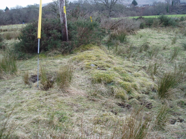 walkover 009.jpg