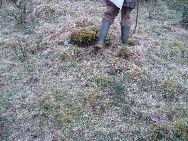 walkover 010.jpg