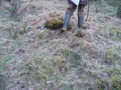 walkover 010.jpg