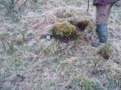 walkover 011.jpg