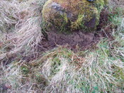walkover 012.jpg