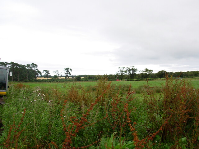 AA-002.JPG