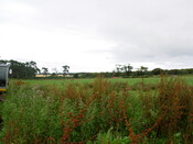 AA-002.JPG