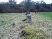 walkover 019.jpg
