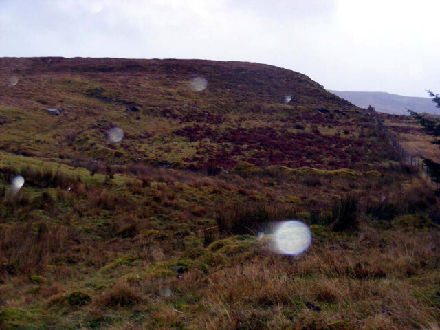 Site6.jpg