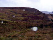 Site6.jpg