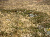 MHG7666 photo A.jpg