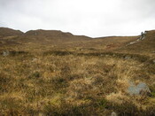MHG7666 photo B.jpg